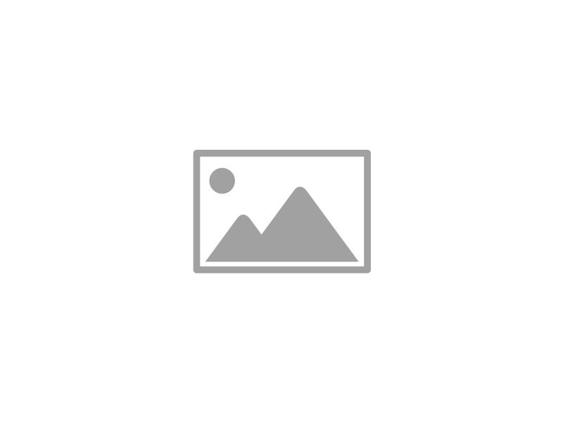 Banner 1